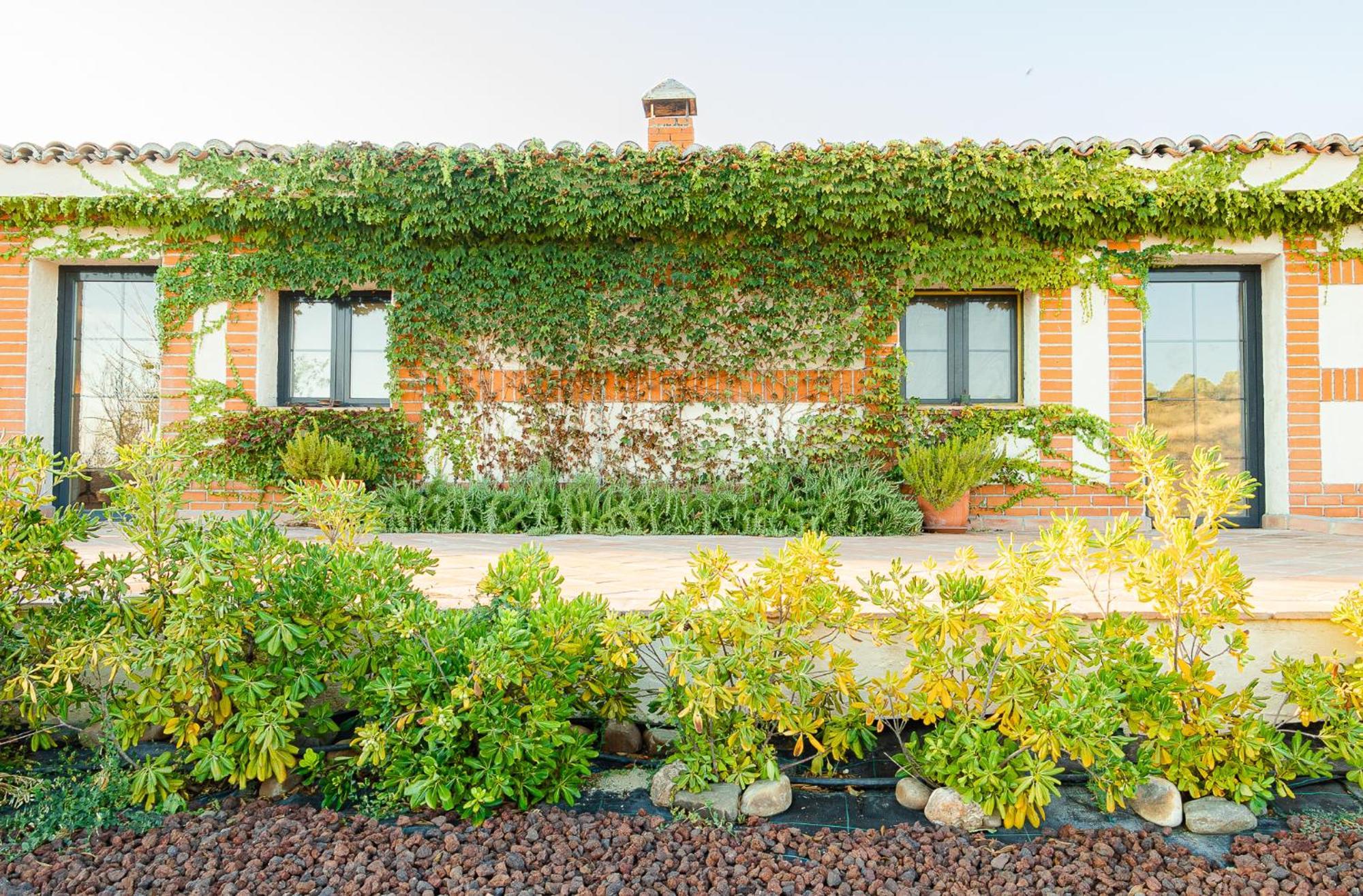 A 30 Min Del Puy De Fou Y Toledo Con Piscina, Bbcoa, Ac, Free Wifi, Jardin, Terraza Con Magnificas Vistas Villa Chozas de Canales Bagian luar foto